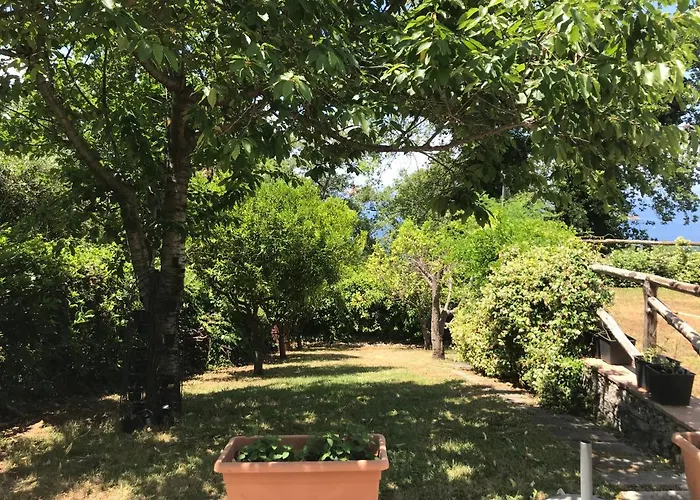 Rosamaria - Lucania Experience Habitación en casa particular *